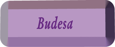 Budesa Family Link